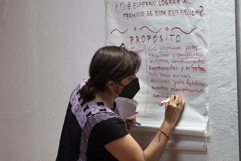 A ativista e jornalista Cynthia em encontro feminino durante a pandemia: foco em mulheres indígenas artesãs mexicanas de comunidades ainda marcadas pelo patriarcado e pelas desigualdades (Foto: Arquivo Pessoal)