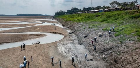 Comunidade indígena Porto Praia, do povo Kokama, sofre com seca extrema do Rio Solimões, no Amazonas: editar para financiar projetos de adaptação climática (Foto: Marizilda Cruppe / Greenpeace)