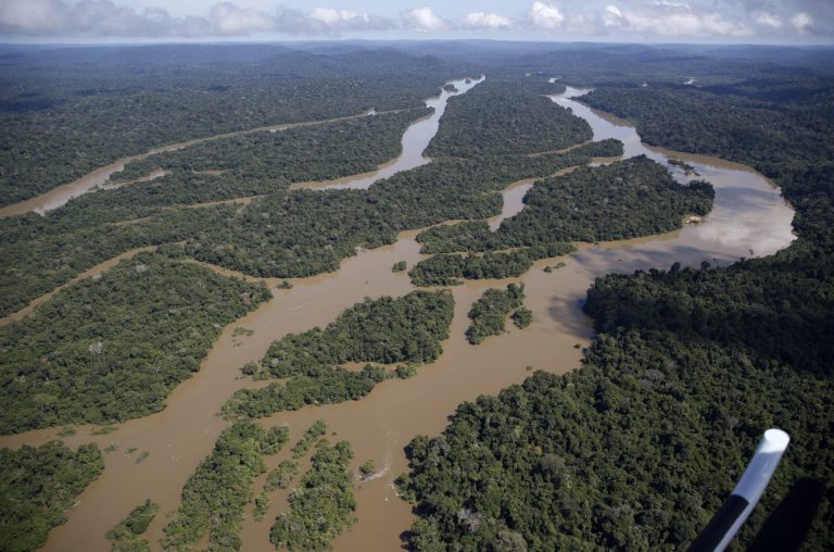 Foto colorida com vista aérea do Rio Jamanxim, no Pará, e da floresta do Jamanxin