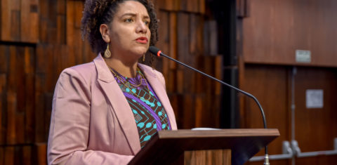 Foto colorida de Renata Souza em púlpito na Alerj, no Rio de Janeiro. Ela é uma mulher negra, com cabelo preto cacheado, amarrado em um coque. Ela está com expressão séria diante de um microfone. Ela veste um blazer rosa e uma blusa preta com detalhes em verde e roxo