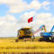 Rio Grande do Sul mostra como reduzir metano sem perder produtividade no cultivo de arroz