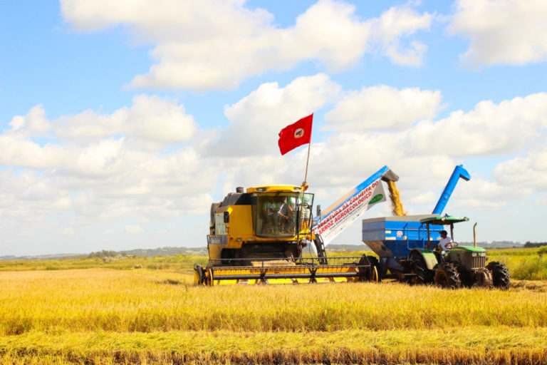 Colheita de arroz orgânico do MST no Rio Grande do Sul: redução das emissões de metano, um dos vilões do aquecimento global, já é realidade no campo gaúcho (Foto: MST / Divulgação)