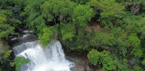 Área de Cerrado no Maranhão: pesquisa mostra que áreas úmidas do bioma estocam mais carbono do que as florestas da Amazônia (Foto: Fernando Frazâo / Agência Brasil - 12/10/2025)