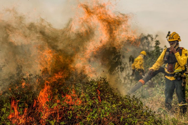 Brigadistas do Prevfogo/Ibama combatem incêndio no Pantanal em 2024: com El Niño Godzilla se aproximando, STR cobra providências de estados da Amazônia Legal e do Pantanal (Foto: Marcelo Camargo / Agência Brasil - 29/06/2024)