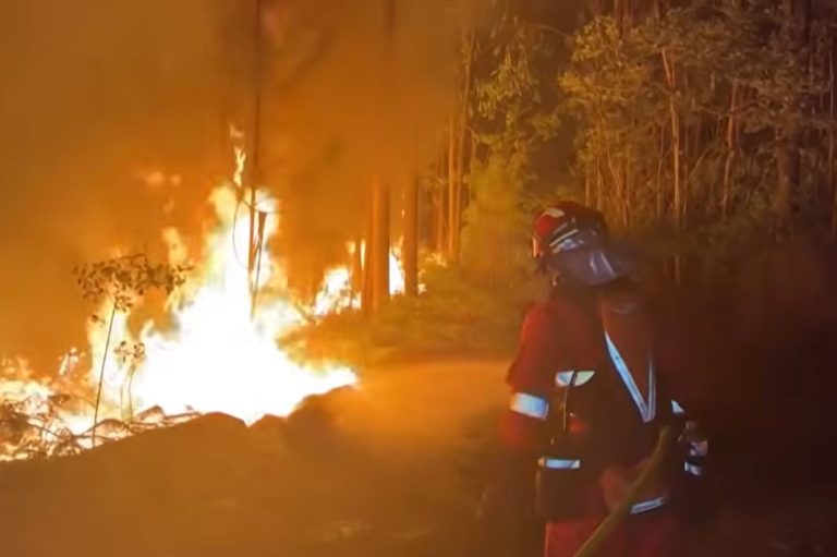Bombeiro combate incêndio florestal em Portugal: ondas de calor e seca extrema espalham fogo pela Europa (Foto: TV Al Jazeera / Reprodução)